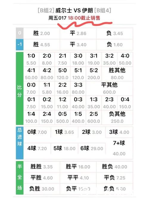 深入解析世界杯下注平台的赔率计算